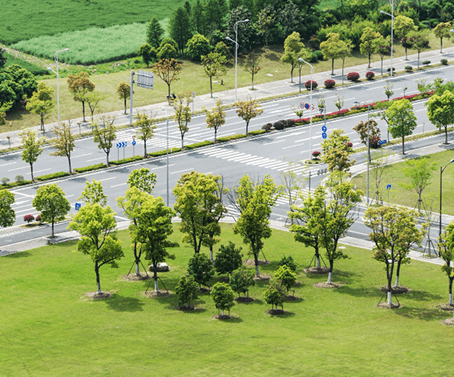 Plotted Layout Development