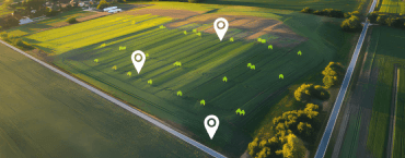 Layout Planning & Buyer Demand Analysis